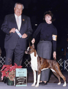 Ana�s Tiny Danc�r of Red Maple